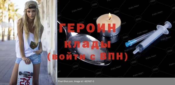 шишки Верея