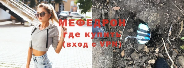 шишки Верея