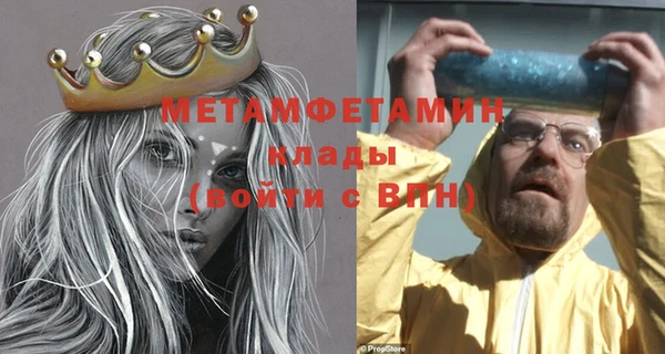 шишки Верея