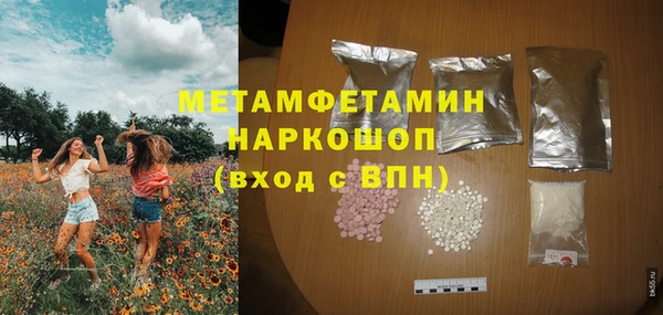 шишки Верея