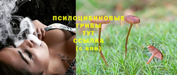 шишки Верея