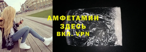 шишки Верея