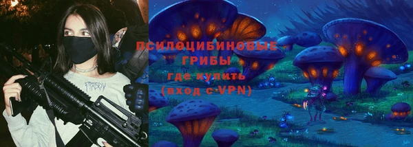 шишки Верея