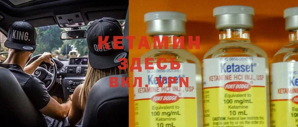 шишки Верея